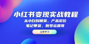 小红书变现实战教程：从小白到精英，产品定价，笔记带货，账号运营等-KJ分享