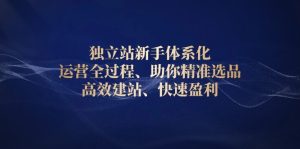 独立站新手体系化 运营全过程，助你精准选品、高效建站、快速盈利-KJ分享