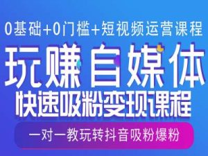0基础+0门槛+短视频运营课程,玩赚自媒体快速吸粉变现课程,一对一教玩转抖音吸粉爆粉-KJ分享