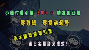 小额付费引爆 300 + 精准创业粉，零剪辑、零复杂起号，话术撬动被动引流，当日实操即见成效-KJ分享