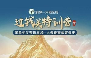 剽悍一只猫-过钱关特训营，学习营销真经 大幅度提高创富效率-KJ分享