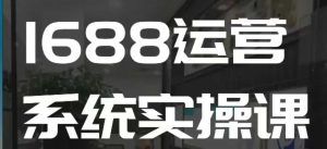 1688高阶运营系统实操课,快速掌握1688店铺运营的核心玩法-KJ分享