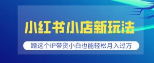 小红书小店新玩法，蹭这个IP带货，小白也能轻松月入过W-KJ分享