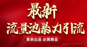 最新“流量池”无门槛暴力引流(全网首发)日引500+-KJ分享