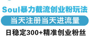 Soul暴力截流创业粉玩法,当天注册当天进流量,日稳定300+精准创业粉丝-KJ分享