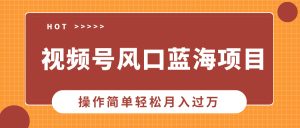 视频号风口蓝海项目,中老年人的流量密码,操作简单轻松月入过万-KJ分享