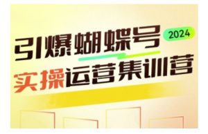 引爆蝴蝶号实操运营,助力你深度掌握蝴蝶号运营,实现高效实操,开启流量变现之路-KJ分享