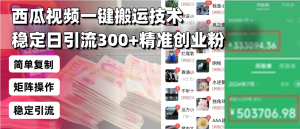 西瓜视频一键搬运技术，稳定日引流300+精准创业粉，简单可复制给团队，…-KJ分享