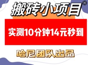 搬砖小项目，实测10分钟14元秒到，每天稳定几张(赠送必看稳定)-KJ分享