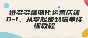 拼多多精细化运营店铺0-1，从零起步到爆单详细教程-KJ分享