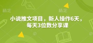 小说推文项目,新人操作6天,每天3位数分享课-KJ分享