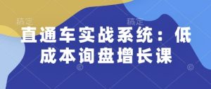 直通车实战系统:低成本询盘增长课,让个人通过技能实现升职加薪,让企业低成本获客,订单源源不断-KJ分享