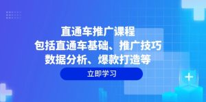 直通车推广课程:包括直通车基础、推广技巧、数据分析、爆款打造等-KJ分享