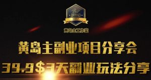 黄岛主副业分享会1期：3天3个副业玩法，速度上车-KJ分享