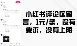 小红书评论区留言,1元条,没有要求,没有上限-KJ分享