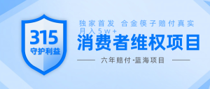 维Q赔付合金筷子玩法小白也能月入5w+风口项目实操-KJ分享