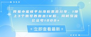 网易小蜜蜂平台涨粉思路分享，1晚上3个账号各跑出1W粉，同时引流公众号1000+-KJ分享