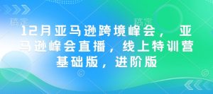 12月亚马逊跨境峰会， 亚马逊峰会直播，线上特训营基础版，进阶版-KJ分享