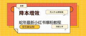 蛇年最新小红书爆粉教程，狂引副业粉，月入万+必看-KJ分享