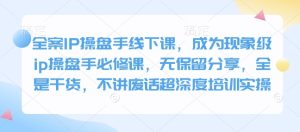 全案IP操盘手线下课,成为现象级ip操盘手必修课,无保留分享,全是干货,不讲废话超深度培训实操-KJ分享