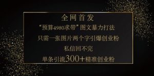 小红书神奇图片引流法，只需一张图，就能单条笔记凭借此方法，轻松引流 300 + 精准创业粉-KJ分享