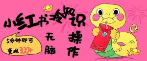 小红书冷知识账号，无脑复制粘贴，5分钟即可变现3张-KJ分享