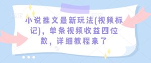 小说推文最新玩法(视频标记)，单条视频收益四位数，详细教程来了-KJ分享