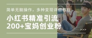 小红书混剪日引200+宝妈创业粉,简单无脑操作,多种变现详细教程-KJ分享