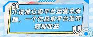 小说推文多平台运营全流程，一个作品多平台发布获取收益-KJ分享