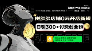 拼多多店铺0元开店新规,日引300+付费创业粉,目前方法简单复制粘贴可矩阵-KJ分享