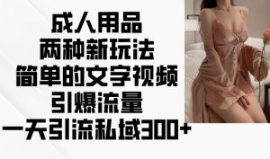 成人用品两种新玩法，简单的文字视频引爆流量，一天引流私域300+-KJ分享