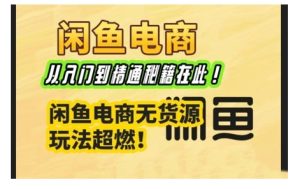 闲鱼电商实战课,从入门到精通秘籍在此,闲鱼电商无货源玩法超燃!-KJ分享