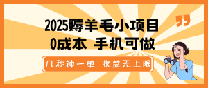 2025薅羊毛小项目,0成本 手机可做,几秒钟一单,收益无上限-KJ分享