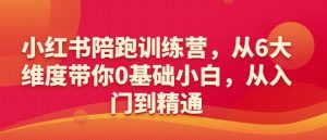 小红书陪跑训练营，从6大维度带你0基础小白，从入门到精通-KJ分享