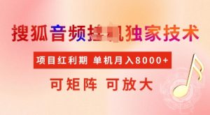全网首发搜狐音频挂JI独家技术,项目红利期,可矩阵可放大,稳定月入8k-KJ分享