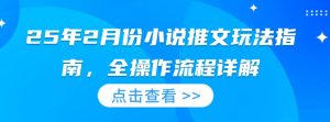 25年2月份小说推文玩法指南,全操作流程详解-KJ分享