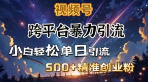 跨平台暴力引流，私域完美闭环，日引500+精准创业粉-KJ分享