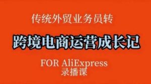 跨境电商速卖通运营课，​运营方法论+后台实操，逻辑清晰-KJ分享