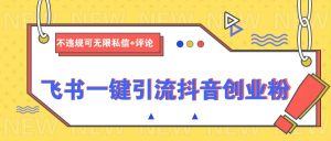 飞书一键引流抖音创业粉，不违规可 无限私信+评论-KJ分享