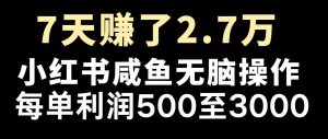 最赚钱项目之一，2025爆火，逆风翻盘！-KJ分享