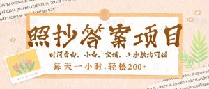 照抄答案,一个问题薅多遍,就有收益,每天一小时,轻松200+-KJ分享