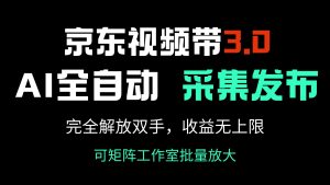 京东视频带货3.0,Ai全自动采集+自动发布,完全解放双手,收入无上限…-KJ分享