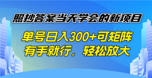 照抄答案当天学会的新项目,单号日入300 +可矩阵,有手就行,轻松放大-KJ分享