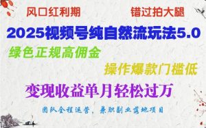 2025视频号纯自然流玩法5.0，绿色正规高佣金，操作爆款门槛低，变现收益单月轻松过万-KJ分享