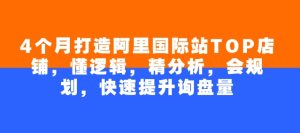 4个月打造阿里国际站TOP店铺，懂逻辑，精分析，会规划，快速提升询盘量-KJ分享