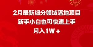2月最新细分领域落地项目，新手小白也可快速上手，月入1W-KJ分享