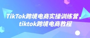 TikTok跨境电商实操训练营，tiktok跨境电商教程-KJ分享