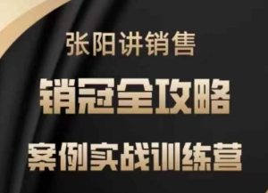 张阳讲销售实战训练营，​案例实战训练，销冠全攻略-KJ分享