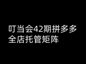 叮当会拼多多打爆班原创高阶技术第42期，拼多多全店托管矩阵-KJ分享