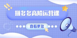 拼多多高阶运营课:极致群爆款玩法,轻付费无尽复制,打造单品爆款之路-KJ分享